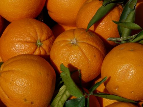Apelsinai, Oranžinė, Vaisiai, Citrusiniai Vaisiai, Vitaminai, Maistas, Prinokę, Saldus, Vaisiai, Skanus, Uždaryti, Makro, Atogrąžų