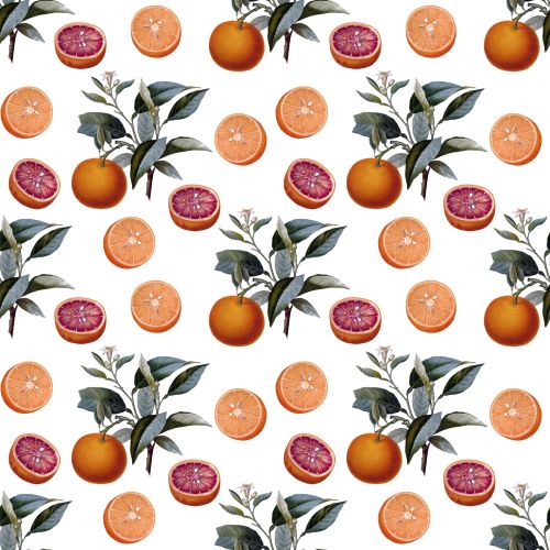 Oranžinė,  Apelsinai,  Vaisiai,  Iliustracija,  Menas,  Vintage,  Tapetai,  Popierius,  Fonas,  Besiūliai,  Modelis,  Dizainas,  Scrapbooking,  Laisvas,  Viešasis & Nbsp,  Domenas,  Apelsinų Fono Paveikslėliai