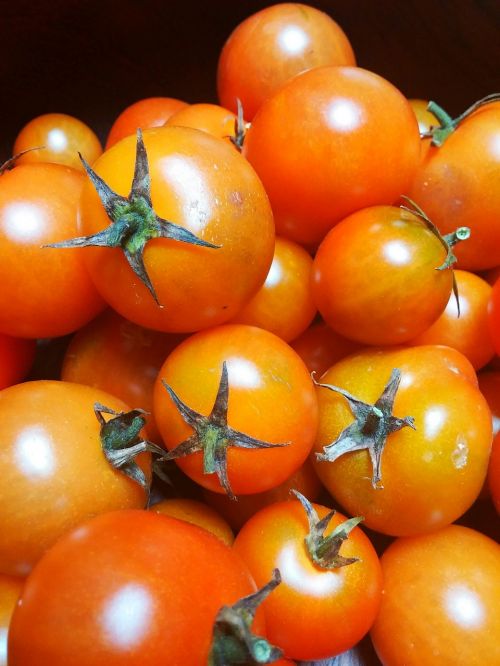 Ekologiškas, Pomidoras, Pomidorai, Raudona, Vegetariškas, Veganas, Daržovės, Veggie Patch, Namuose Išaugintas, Ūkis