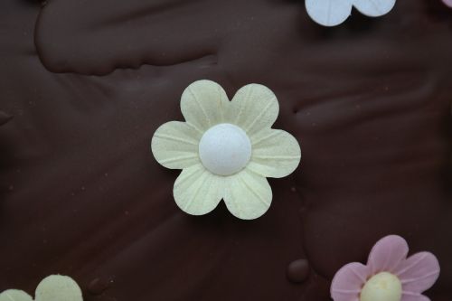 Ornamentas, Gėlių, Šokoladinis Pyragas, Tortas, Šokoladas