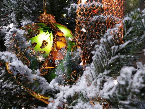 Kalėdos,  Ornamentas,  Medis,  Sniegas,  Filialas,  Ornamentu Ir Sniego Danga