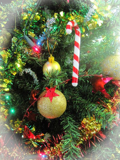 Medis,  Bambukai,  Nendrės,  Dekoracijos,  Ornamentai Ant Kalėdų Eglutės