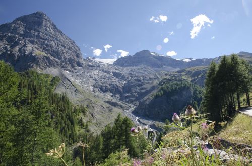 Ortler, Kalnai, Alpės, Stelvio, Italy