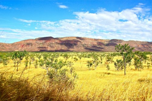 Outback, Australia, Kaimas, Aussie, Aplinka, Krūmas, Peizažas, Žolė, Kaimas, Kraštovaizdis, Gamta, Šalis, Vaizdingas, Dangus, Vasara, Lauke, Laukas, Scena, Debesys, Niekas, Grožis, Saulės Šviesa, Gražus