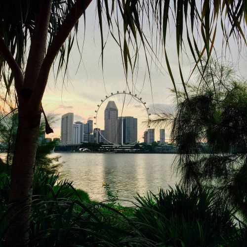 Lauke, Gamta, Kraštovaizdis, Ferris Ratas, Singapūras