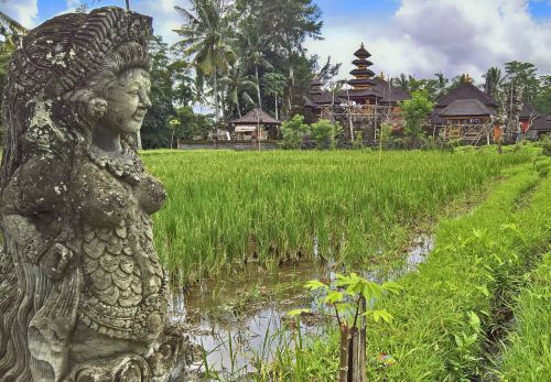 Paddy, Šventykla, Bali, Šventyklų Kompleksai
