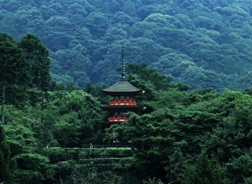 Pagoda, Japonija, Miškas, Asija, Šventykla, Džiunglės