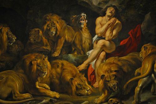 Dažymas, Daniulis Liūto Denyje, Peter Paul Rubens, Menas, Spalva, Apdaila, Moteris, Liūtys, Gyvūnas