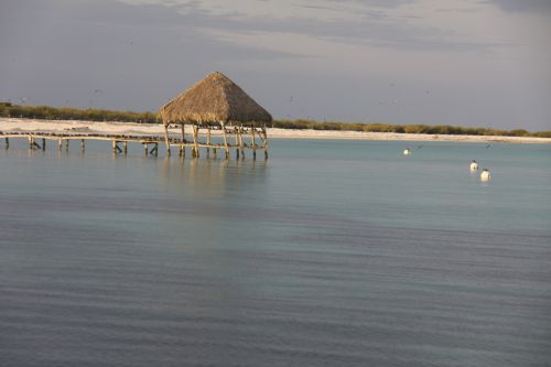 Skorpionai,  Palapa Skorpionai