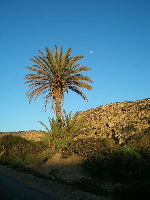 Delnas, Vakarinis Dangus, Mėnulis, Marokas