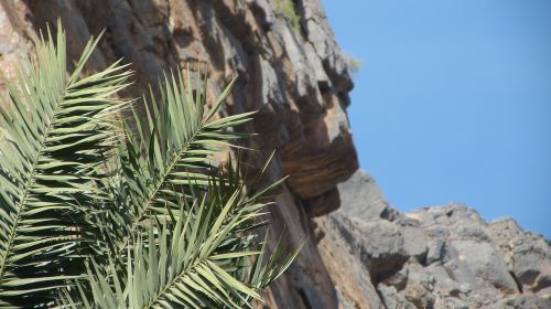 Delnas, Kalnas, Nuolydis, Oman