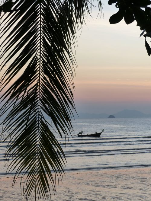 Palmių Lapelis, Saulėlydis, Ao Nang Paplūdimys, Krabi, Tailandas