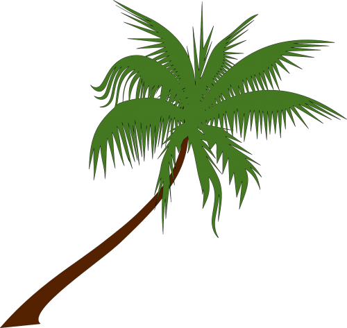 Palmė, Kokoso, Delnas, Medis, Atogrąžų, Palmių Lapai, Nemokama Vektorinė Grafika