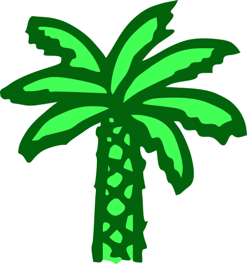 Palmė, Žalias, Papludimys, Bananų Medis, Delnas, Atogrąžų, Egzotiškas, Augalas, Data, Kokoso, Džiunglės, Nemokama Vektorinė Grafika