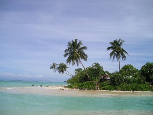 Palmės, Papludimys, Nuostabus Paplūdimys, Smėlio Paplūdimys Samoa, Egzotiškas, Pietų Jūra, Sala