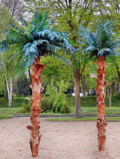 Palmės, Medis, Papludimys