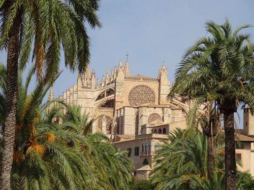 Palma, Katedra, Maljorka
