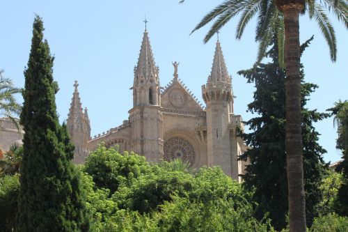 Palma, Palma De Maljorka, Bažnyčia, Katedra, Maljorka, Architektūra, Miestas, Ispanija, Balearų Salos, Delnas, Kiparisas