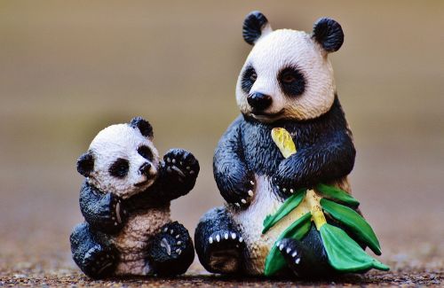 Panda, Vaikas, Motina, Mielas, Skaičiai, Saldus, Žaislai, Gyvūnas, Juokinga, Motinystės Meilė