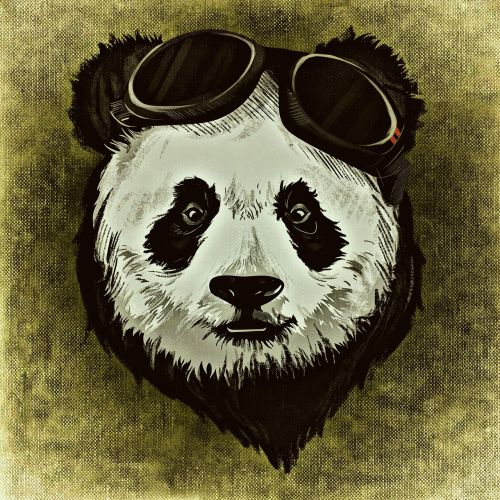 Panda, Gyvūnas, Laukiniai, Abstraktus, Kūrybingas