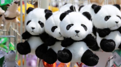 Panda, Papuošalai, Mielas, Nacionalinis Lobis, Gyvūnas, Juoda Ir Balta