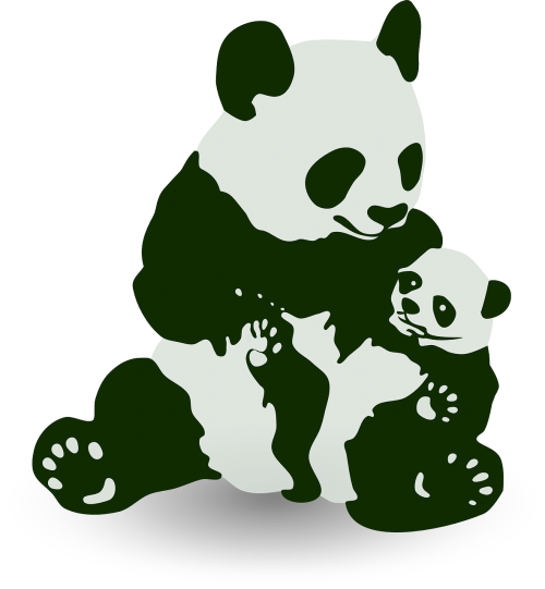 Panda, Turėti, Mielas, Laimingas, Jaunas, Gyvūnas, Kūdikis, Nemokama Vektorinė Grafika