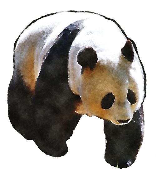 Panda, Akvarelė, Oekaki, Gyvūnas, Mielas