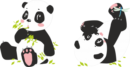 Panda, Pandas, Turėti, Lazda, Bambukas, Juoda, Balta, Kinija, Asija, Žalias, Mielas, Kawaii, Saldus, Vaikas, Vaikai, Bebe, Gyvūnų Pasaulis, Švelnus, Gražus, Gyvūnas, Gamta, Sėdi, Rankovė