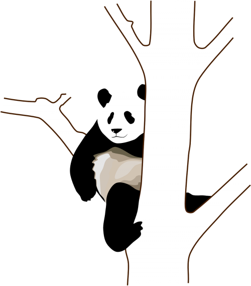 Panda, Medis, Filialas, Sėdi, Lipti, Laukiniai, Turėti, Juoda Ir Balta, Laukinė Gamta, Gyvūnas, Kinija, Buveinė, Nemokama Vektorinė Grafika