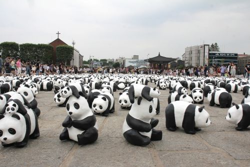Panda, Paroda, Rodyti, Eksponatas, Gyvūnas, Nykstantis, Rodyti, Žavinga, Pritraukimas, Korėja