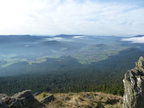 Panorama, Miškas, Kalnas