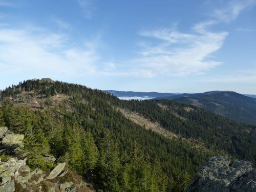 Panorama, Miškas, Kalnas