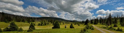 Panorama, Šumava, Kraštovaizdis, Žalias, Kelias