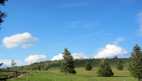 Panorama, Vosges, Takas, Kelias