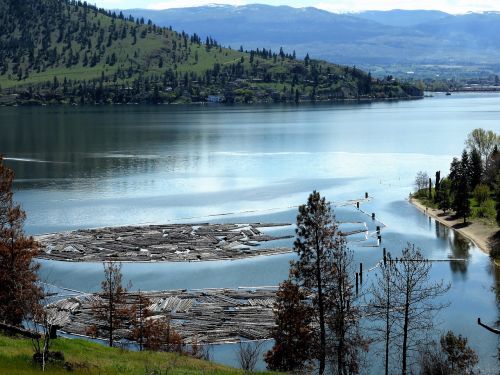 Panorama, Daugiau, Vaizdas, Vanduo, Lagaminai, Gamta, Mėlynas, Kanada, Okanaganas, Kraštovaizdis