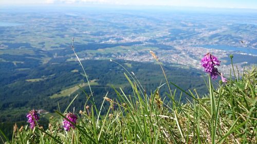 Panorama, Aukštis, Kalnų Grožis, Žolė, Šveicarija