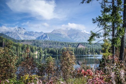 Panorama,  Pleso,  Gamta,  Ežeras,  Taika,  Aukštas Tatras,  Kelionė,  Vaizdas,  Be Honoraro Mokesčio