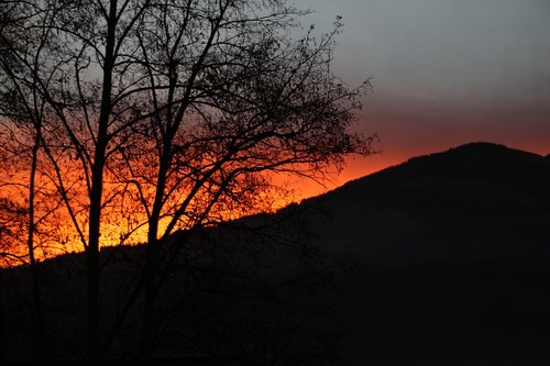 Panorama,  Medis,  Kraštovaizdis,  Dawn,  Saulėlydžio,  Vakare,  Prieblanda