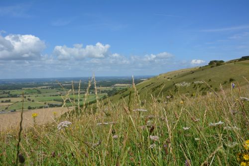 Panorama, Pieva, Perspektyva, Anglija, Gamta, Kraštovaizdis, Žygiai, Turizmas, Žolė