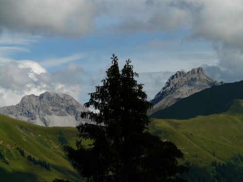 Panorama, Alpių, Kalnai, Kalnas, Medis, Dėl, Alpenpanorama, Pieva, Alm