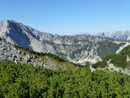 Panorama, Alpių, Kraštovaizdis, Gamta, Vaizdas, Austria, Miškas, Žalias, Plunksna, Vasara