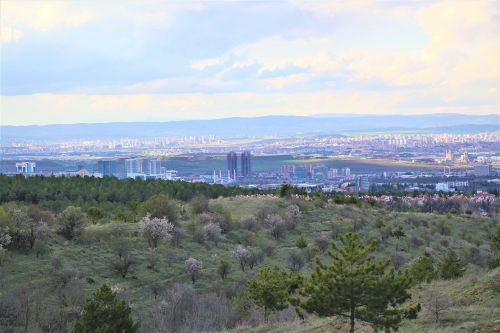 Panoraminis,  Gamta,  Kelionė,  Miestas,  Dangus,  Miesto Panorama,  Be Honoraro Mokesčio