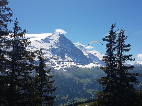 Paragliding, Eigero Šiaurinis Veidas, Grindelwald, Berni Oberland