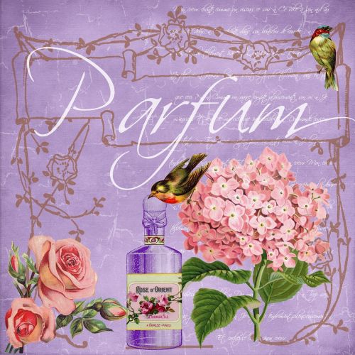 Parfum, Vintage, Koliažas, Elegantiškas, Gėlės, Rožė, Paukštis, Iškarpų Albumas, Fonas, Popierius