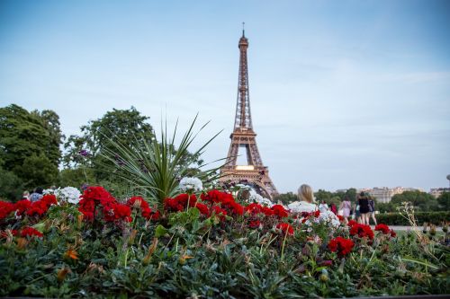 Paris, Eifelio Bokštas, Gėlės, Atvirukas, Dangus