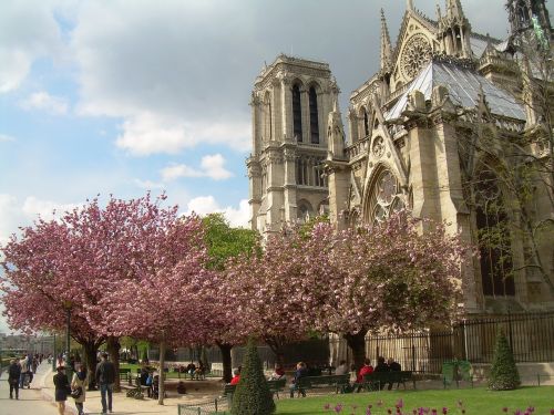 Paris, France, Notre Dame, Katedra