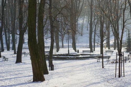 Parkas, Medis, Alėja, Žiema, Sniegas, Suolai, Žibintas, Kraštovaizdis, Bochnia, Lenkija