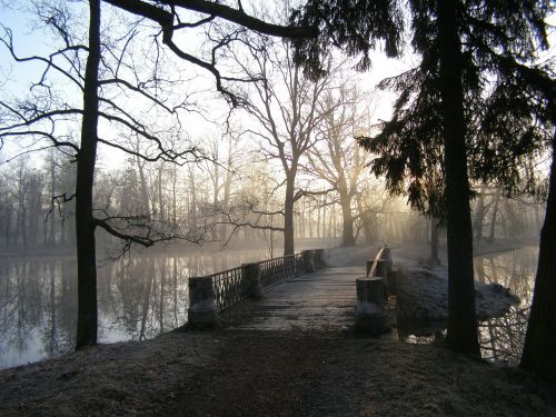 Parkas, Tvenkinys, Pavasaris, Rytas, Tiltas, Rūkas