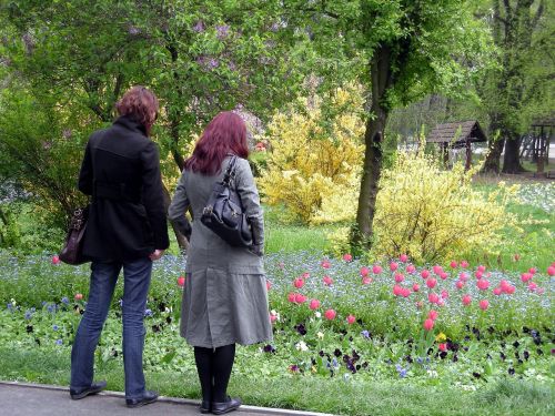 Parkas, Herastrau, Pobūdį, Gėlės, Kraštovaizdis, Bukareštas, Rumunija, Spalvos, Vasarą, Pastelė