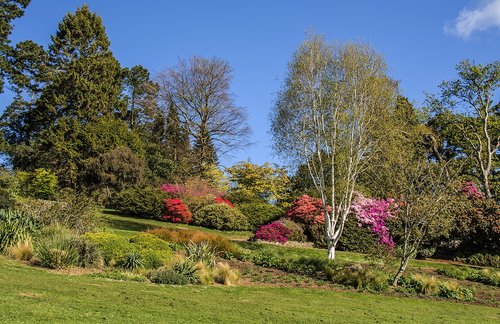 Parkai,  Swansea,  Medžiai,  Gėlės